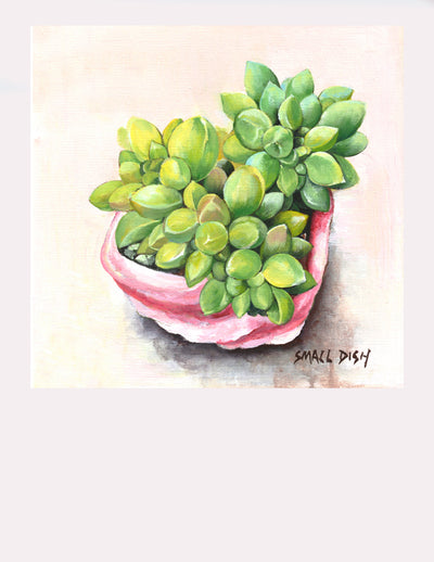 Succulent #4